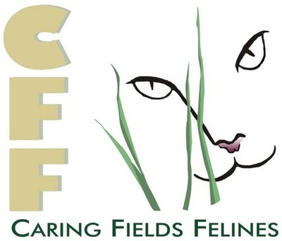 Caring Fields Felines