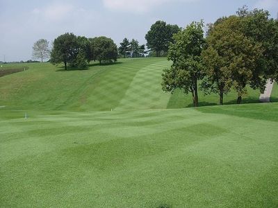 (On Backorder - Ships Feb 2025)Zenith Zoysia Grass Seed 100% Pure Seeds - 6 Lbs.