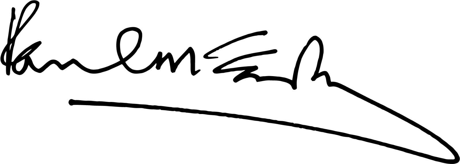 「激安貴重‼︎」Paul McCartney 直筆サイン Paul McCartney Autograph Signature VINYL DECAL Bumper