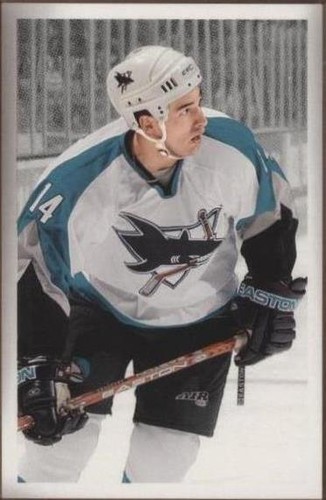 2003-04 Upper Deck Bee Hive - Jonathan Cheechoo #160