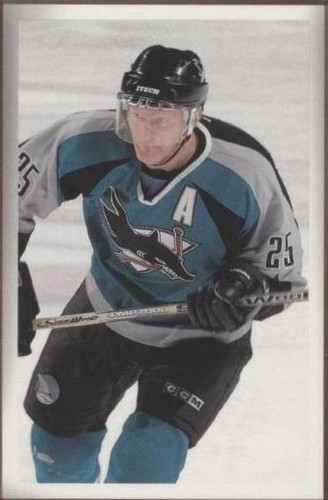 2003-04 Upper Deck Bee Hive - Vincent Damphousse #165