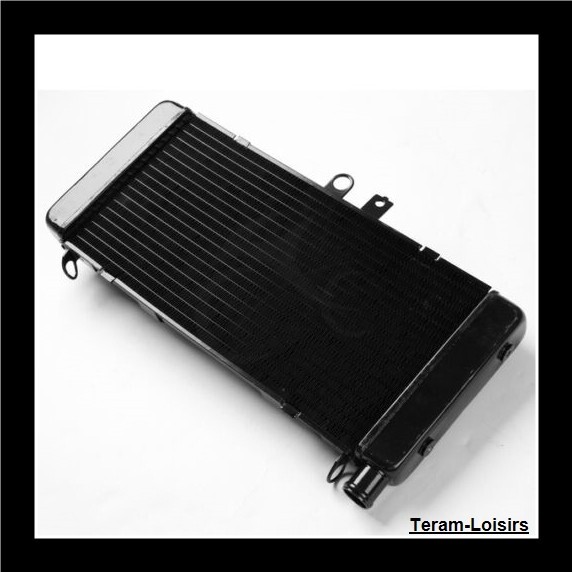 Radiateur Pour Honda Cb 900 919 F Hornet De 2002 Ã  2007 / 19010-Mcz-003 / Neuf
