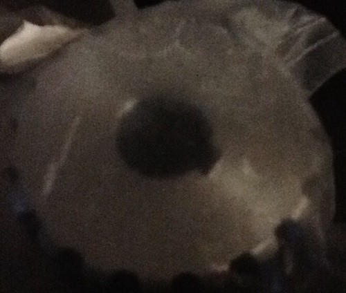 Delta 1346363 Pulley