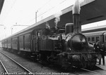 curzio6524