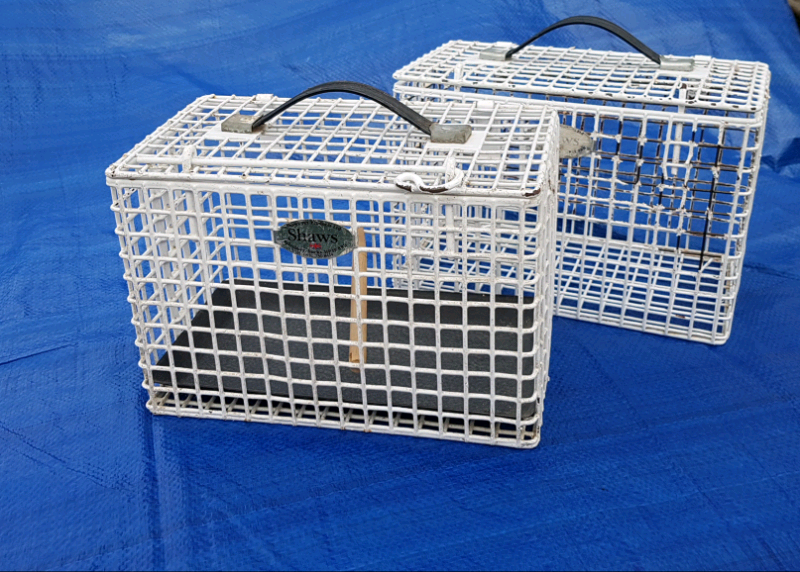 2 x chew proof travel cages for bird rat guinea pig degu or chinchilla