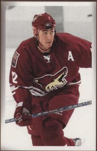 2003-04 Upper Deck Bee Hive - Mike Johnson #152