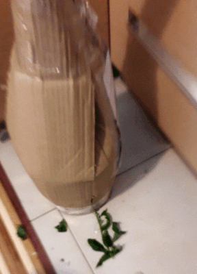 Foto dell'oggetto di un acquirente verificato