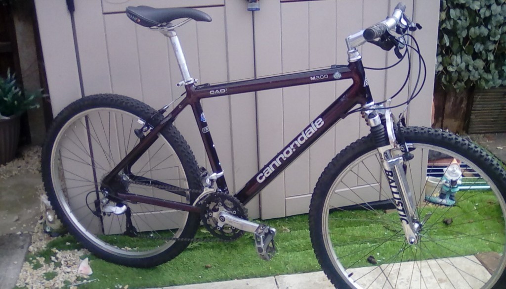 bike bristol gumtree