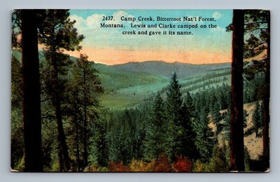 Bitterroot National Forest,MT Camp Creek Scenic View 1930 Montana Vintage