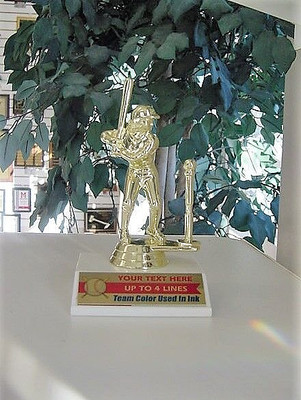 T-BALL BASEBALL TROPHY TROPHIES MALE OR FEMALE TEAM COLOR & FREE LETTERING ^