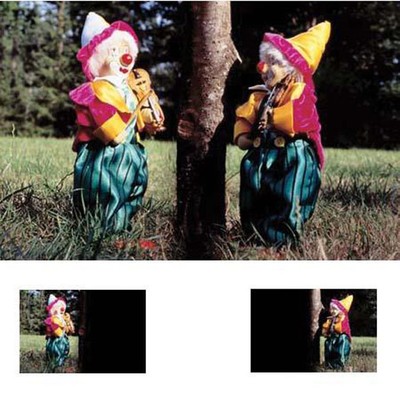 Cokin Double Exposure mask A346. 