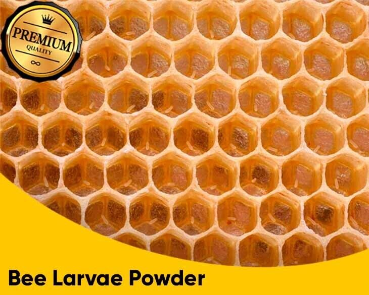 🔥 BigorUp 24 Sachets ⭐️ Big or Up 🔥 Bigor Up 24 Sachets - Package of 24 🔥 NEW