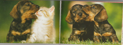 CUTE! GORGEOUS PET PICS
