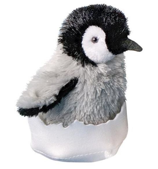 6 Inch Pip Baby Emperor Penguin in Shell Plush Stuffed Animal by Douglas