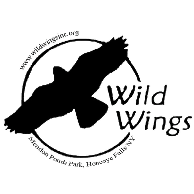 Wild Wings Inc.