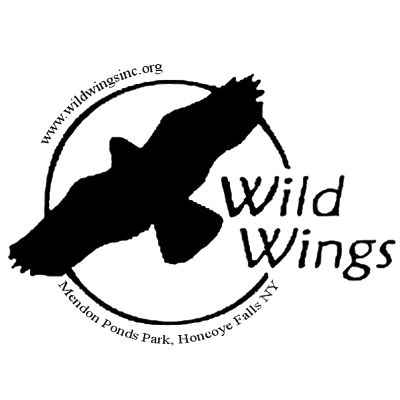 Wild Wings Inc.