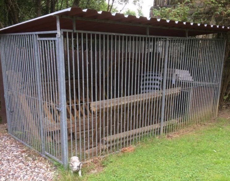 Dog kennel with roof in Swansea Gumtree