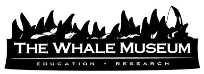The Whale Museum