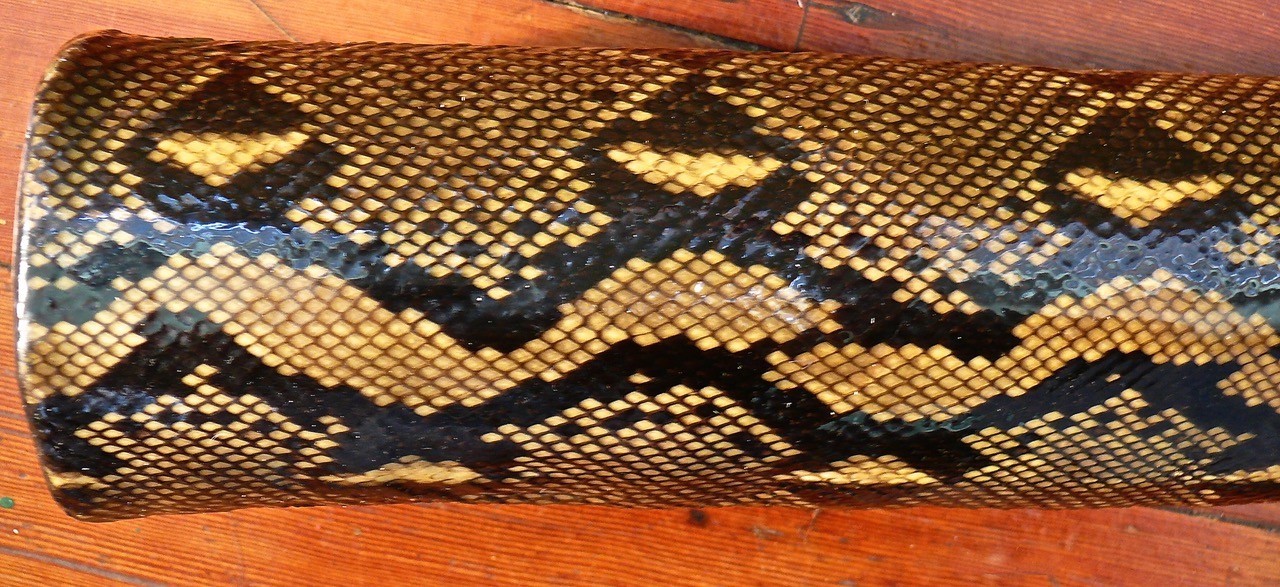 Shamanic Python-Skin Didgeridoo