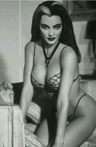 Yvonne De Carlo Lily The Munsters Sexy Beautiful Glossy 8x10 Photo
