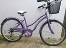 Real Verve Dutch style bike. 17&quot; frame size. 700cc wheels. Working