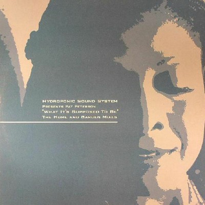 Hydroponic Sound System presents Pat Peterson - What It's Supposed To Be (Vinyl)