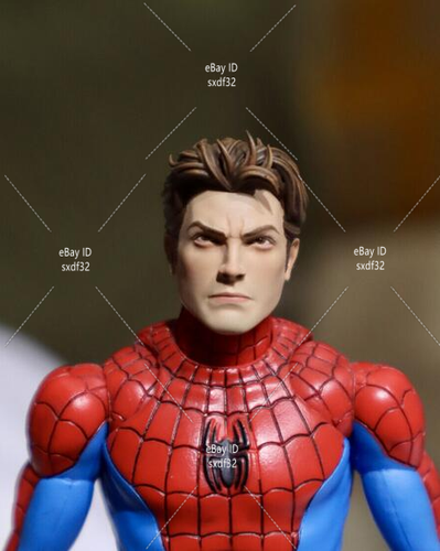1:12 Head Sculpt Spider Man Peter Parker Model Fit 6'' Male