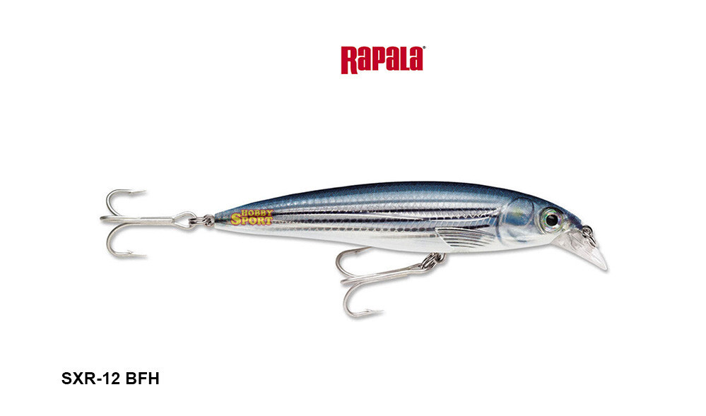 RAPALA X-RAP SXR-12 COLOREBFH BAITFISH  22 GR SUSPENDING  12 CM SPINNING MARE