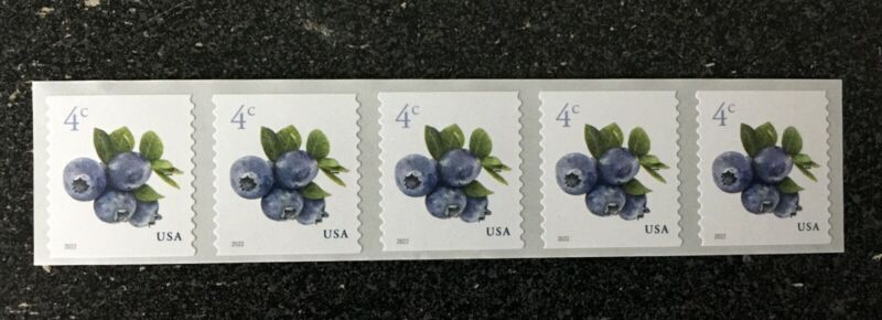 2022usa #5653 4c Blueberries - Coil Strip Of 5  Mint  Nh    Blueberry