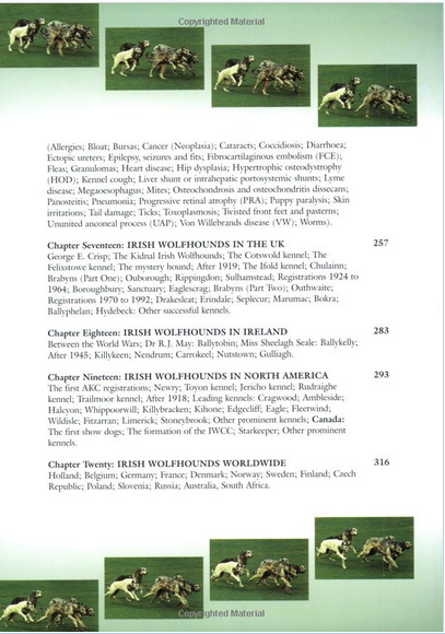 The Magnificent Irish Wolfhound : Mary McBryde : LikeNew Hardcover  @ZB