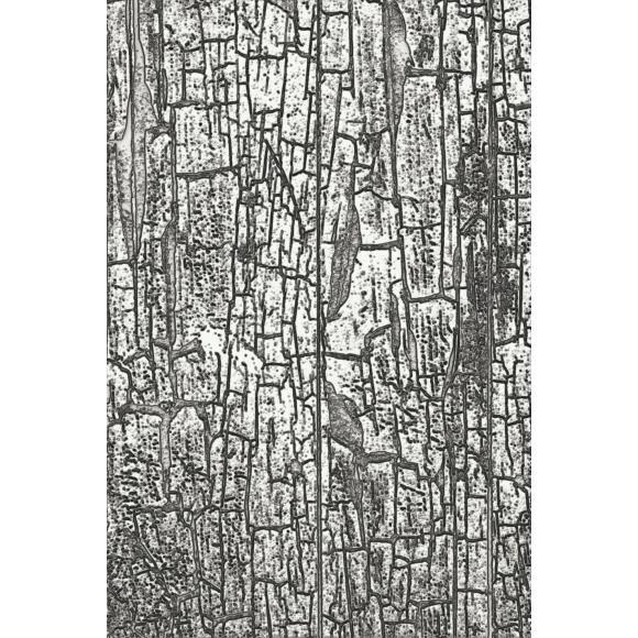 Sizzix - Tim Holtz Halloween 2023 - Cracked 3D Texture Fades Folder