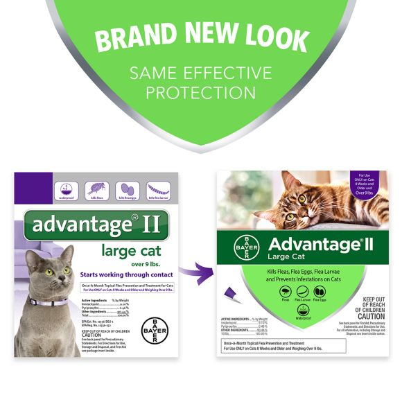 Advantage II Over 9 lbs Cat Flea Prevention & Treatment  6 pack