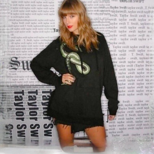 taylor swift reputation embroidered snake black hoodie (size