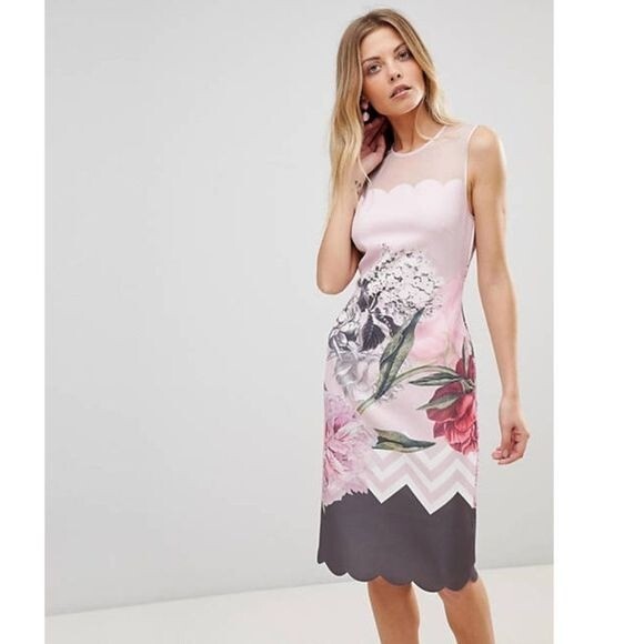 TED BAKER ドレス Ted Baker Arionah Palace Gardens Scallop Detail Dusty Pink