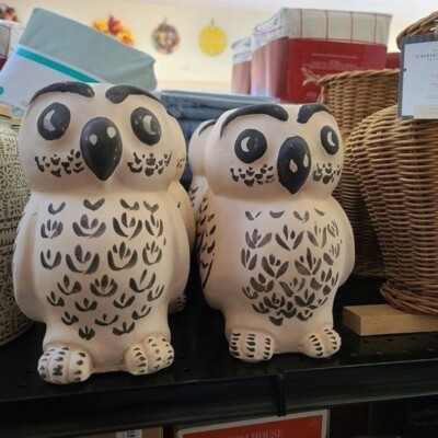 Opalhouse x Jungalow Handcrafted Terracotta Owl Vase