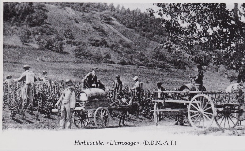 1984  --  Herbeuville   L Arrosage   3g122