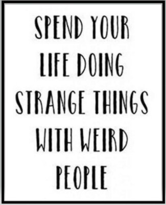 Spend Your Life Doing Strange Things With Weird People Sounds Fun! MAGNET