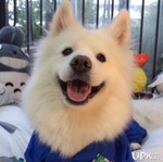 awesome4good 的用户个人档案