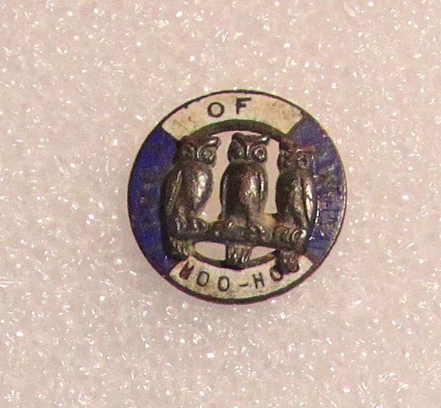 Antique Order Of The Owls Enameled Lapel Pin- Fraternal Pin OOO