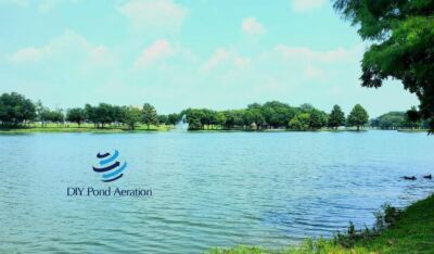 NEW FISH Koi Pond Vacuum II - Koi Pond Muck Buster 4.5 Gallon 2 HP 2yr Warranty