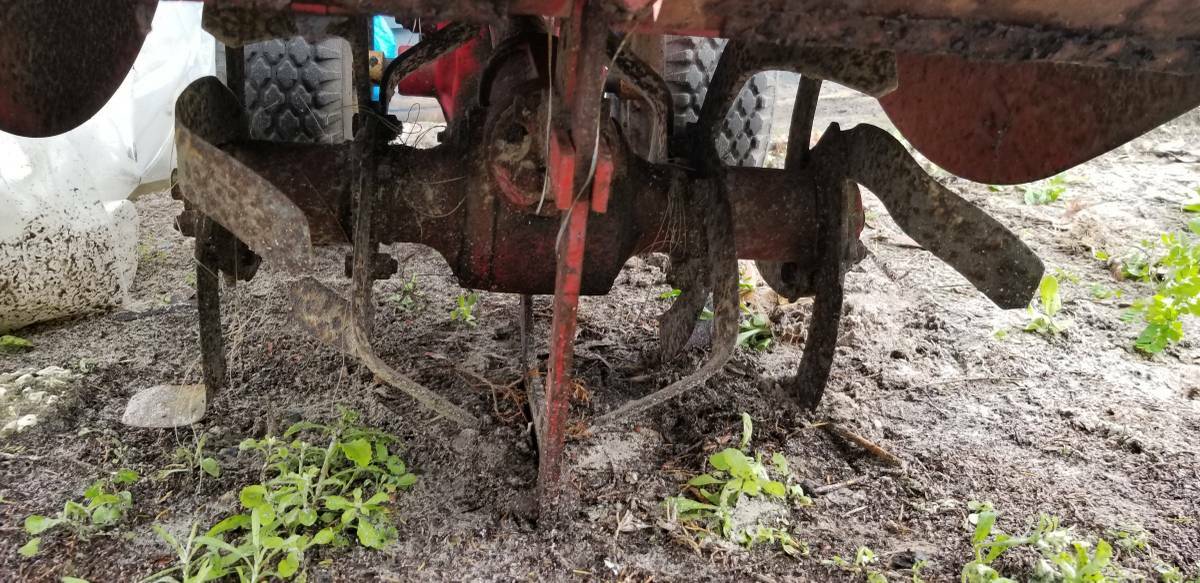 Troy Built Rear Tine Rototiller.  Tecumseh Engine. Horse model w/Reverse