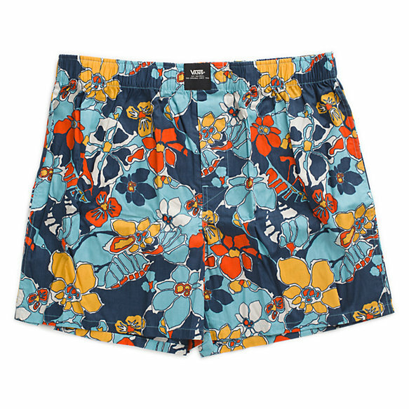 boxer vans boxer vans