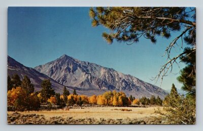 Bishop,CA Mount Tom Scenic View Inyo County California Vintage Postcard