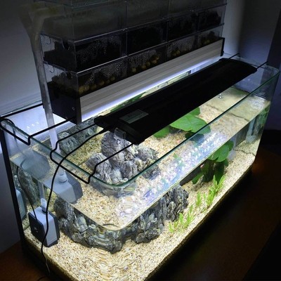 Led Aquarium Fish Tank Light Full Spectrum Aqua Marine White Blue