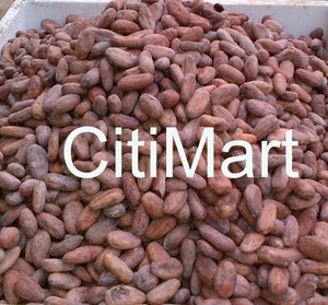 Cocoa Beans Cocoa Beans