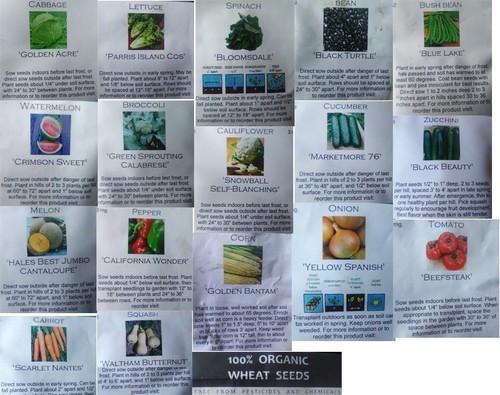Free Seed Vault, SuperBlue Immune Gargle, Silver Bullet Colloidal Silver + More