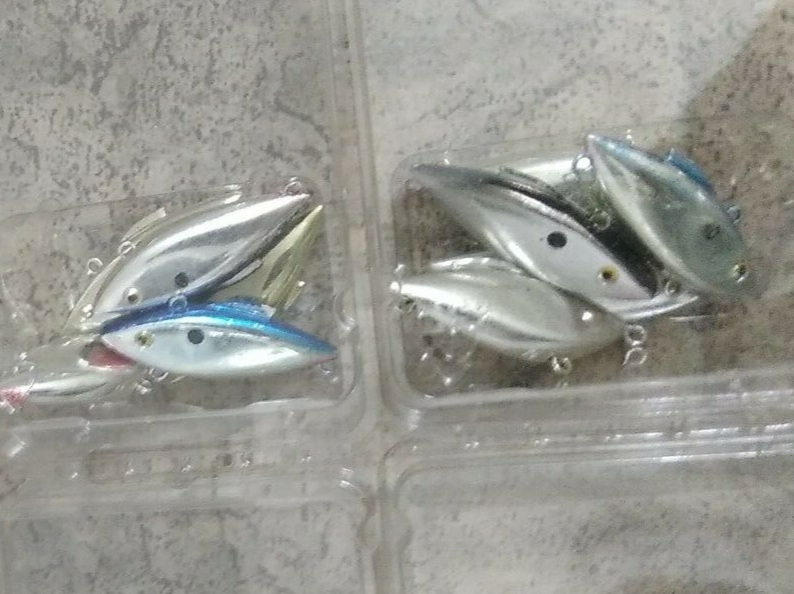 chrome 5pc bill Lewis Rat L Trap Tiny rattle 1/8 oz 1 3/4