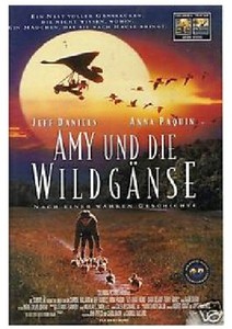 Kinder & Familienfilme auf VHS-Kassetten