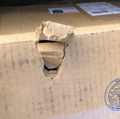 Item photo(s) from verified buyer