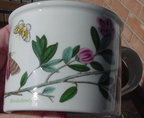 PortMeirion Botanic Gardens 2  Drum Cup & Saucers Sets